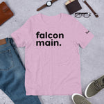 Captain Falcon Main